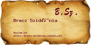 Brecz Szidónia névjegykártya